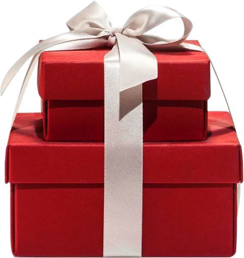 COMBOS NAVIDEÑOS 2024